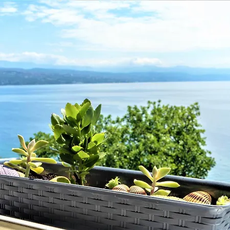 公寓 Near With Sea View